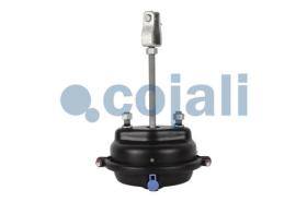 Cojali 2251113 - CAMARA FRENO T-36