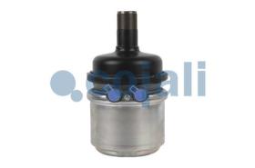 Cojali 2351421 - PULMON CU¥A 24/24